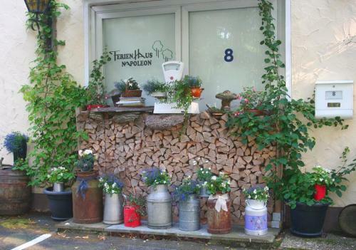 Apartamento Ferienhaus Napoleon