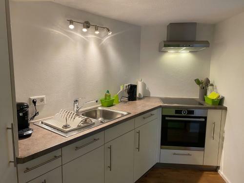 Apartamento Ferienwohnung Schwarzwaldhirsch Im Herzen Von Waldshut