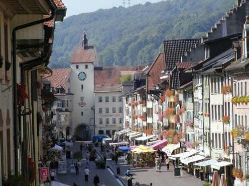 Apartamento Ferienwohnung Schwarzwaldhirsch Im Herzen Von Waldshut