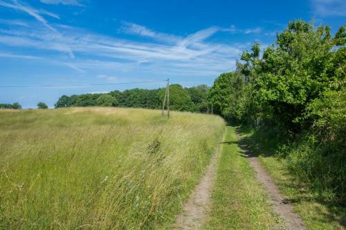 Ostsee Bungalow Am Waldesrand