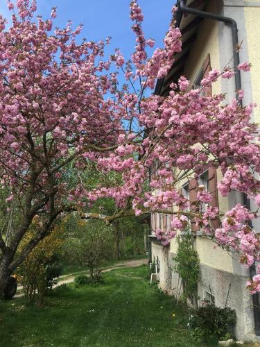 Agroturismo Ferienhof Weber Nieratz