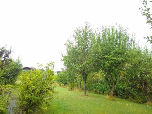 Apartamento Ferienwohnung Am Mozarth�gel