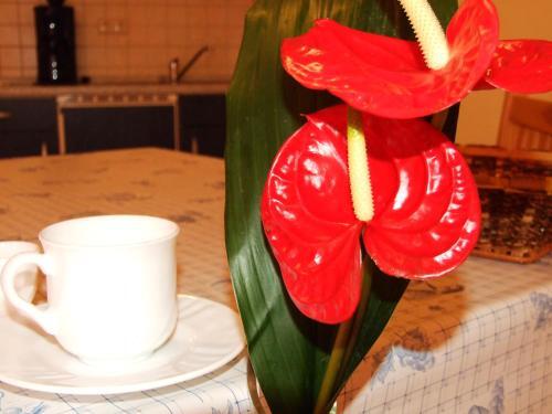 Apartamento Ferienwohnungen Am Seeufer 11