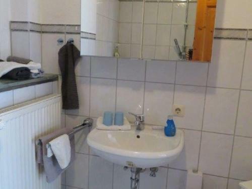 Apartamento Ferienwohnung Zum Haselbach