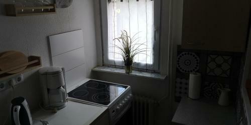 Apartamento Ferienwohnung/monteurwohnung Am Badesee Bei Kassel