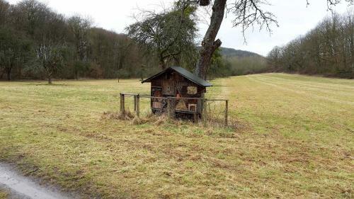 Apartamento Haus Mit Seele Im Nahetal