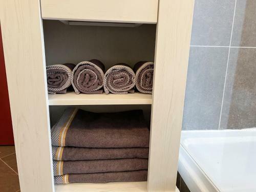 Penthouse Am Goethepark - Apartments & Suites Weimar