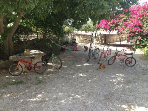Apartamento Finca Rural Son Amer