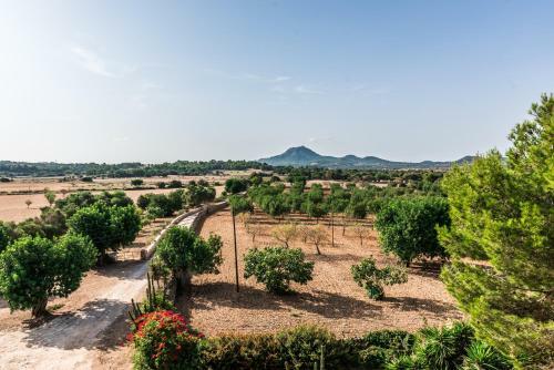 Apartamento Finca Rural Son Amer