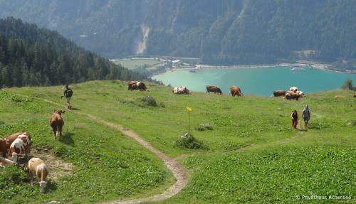 Privathaus Achensee