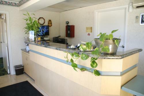 Motel Americas Best Value Inn Siliconway