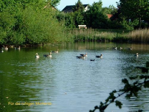 Apartamento Whg Seeschwalbe - Haus Nordlichter