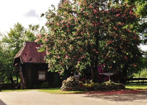 Reiterhof Winandy