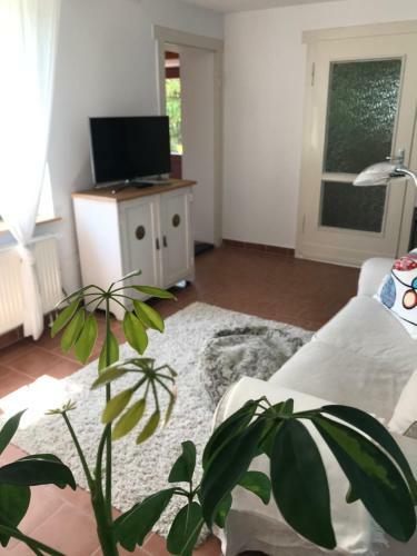 Hering Fewo I Apartment Terrace