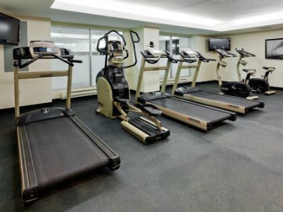 Hotel Holiday Inn Toronto Downtown Centre