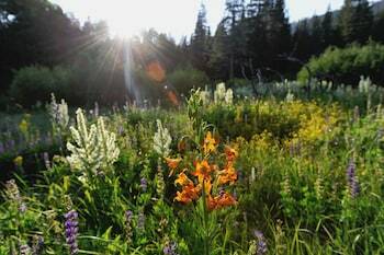 Hotel Squaw Valley Lodge