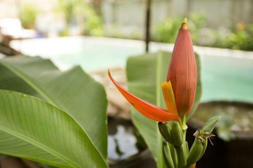 Hotel Away Villa Salt Phnom Penh