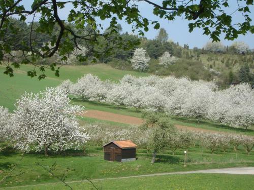 Landgut Hotel Zur Warte