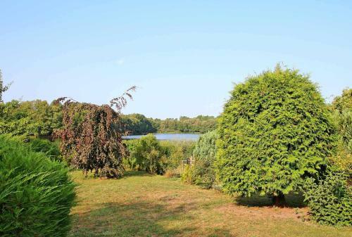 Ferienhaus Am See Wokuhl See 6413