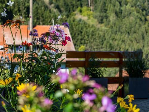 Apartamento Ferienwohnung Morgensonne