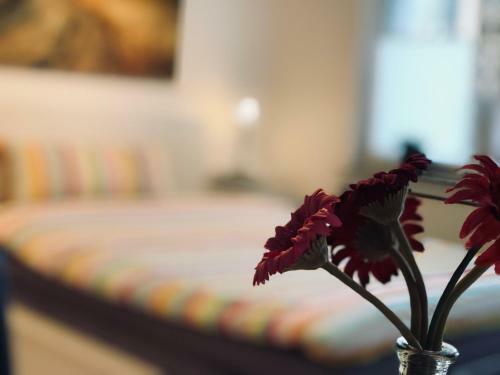 Apartamento Bungalow Am Stadtwald, 24h Check-in