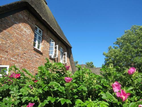 Apartamento Nordseekrabbe 12 Herrenhof