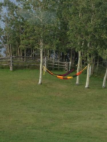 Hotel H�tel Motel Du Rocher
