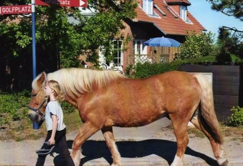 Apartamento Fewo-mit-terasse-u-garten-am-golfplatz