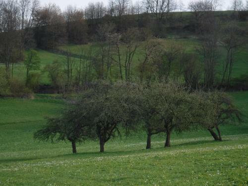 Apartamento Ferienwohnung Mondf�nger