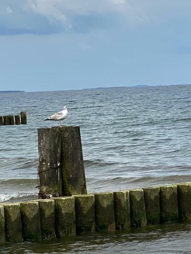 Apartamento Seestern