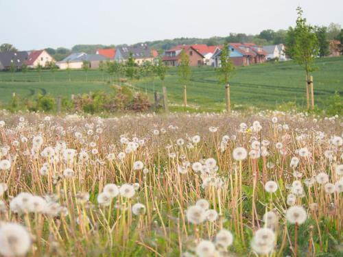 Emilias H�s, Reethaus In Der Bucht Von Wismar