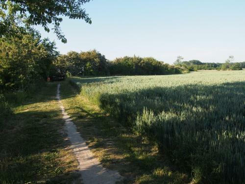 Emilias H�s, Reethaus In Der Bucht Von Wismar
