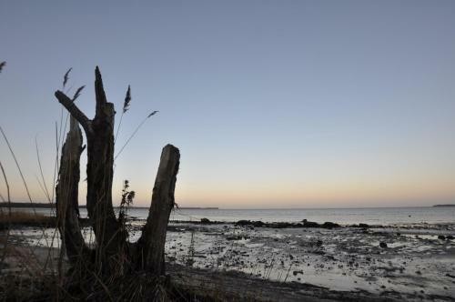 Emilias H�s, Reethaus In Der Bucht Von Wismar