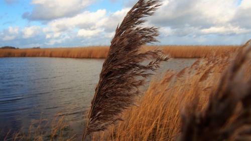 Emilias H�s, Reethaus In Der Bucht Von Wismar