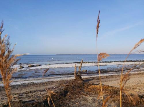 Apartamento Neu! Kaj�te Am Badestrand - Abc57