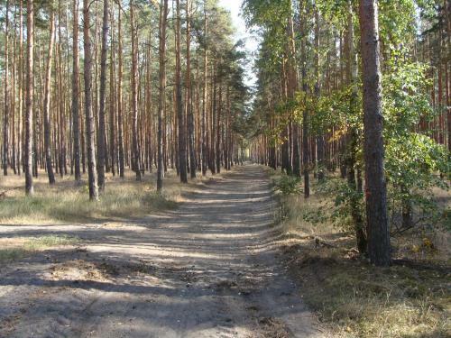 Apartamento Ferienwohnung Zossen