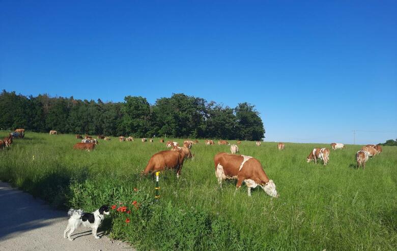 Apartments Near Playmobil 1