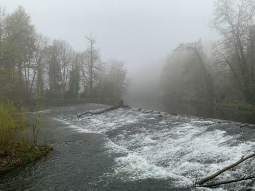 Apartamento Auf Der Zschopau-insel