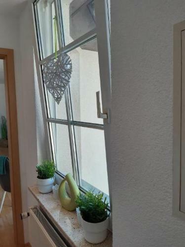 Apartamento Ferienwohnung Salzmannhaus