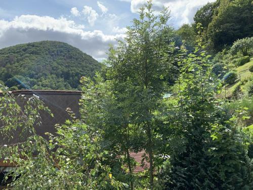 Hotel And Restaurant Bergschl�sschen