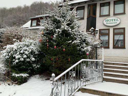 Hotel And Restaurant Bergschl�sschen