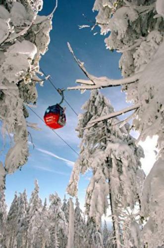 "altes Haus" Am Kurpark In Den Bergen