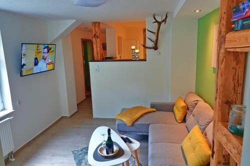 Harzapart Apartment 3 "hirsch"