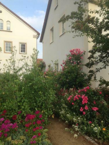 Apartamento Ferienwohnung Zweinig 01