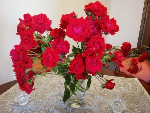 Apartamento Rosen Und Rosse