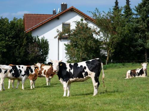 Apartamento G�stezimmer Am Hof