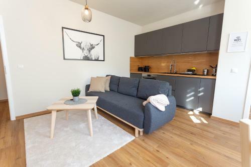 Full House Studios - The Buffalo Apartment - Ntflx + Wifi