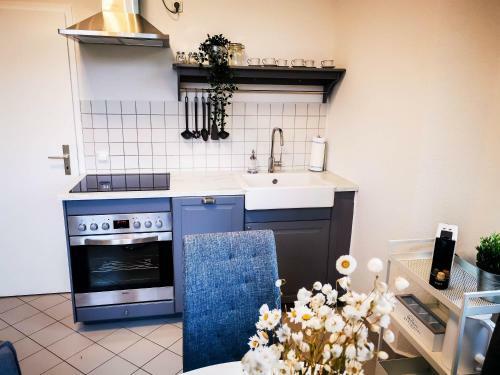Zwickau Innenstadt Deluxe Apartment