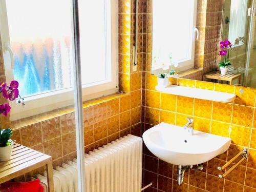 G�stezimmer Am Hochrhein