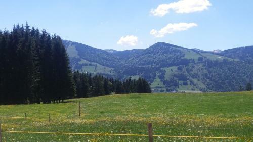 Apartamento Ferienwohnung Tannenblick